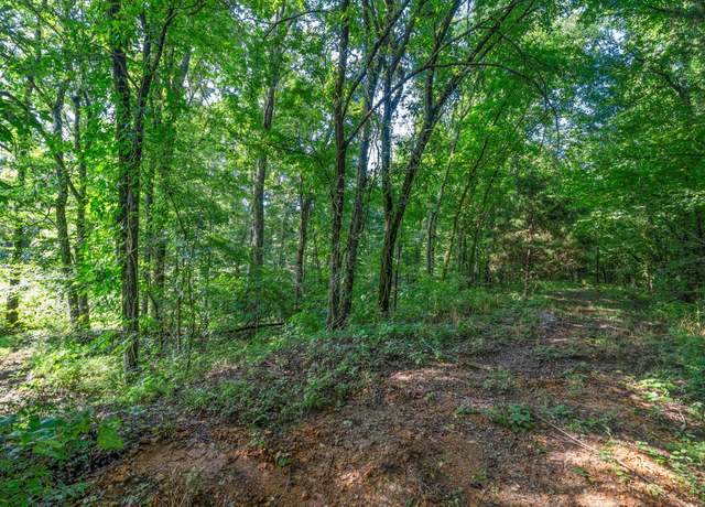 Property at 1 Highway 149, Cumberland City, TN 37050