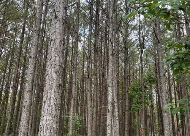 Property at 320 Liberty Ridge Rd, Hohenwald, TN 38462