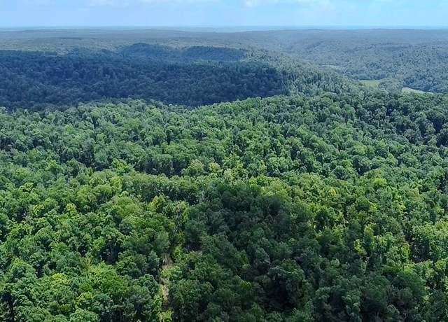 Property at 0 Buckfork Rd, Linden, TN 37096