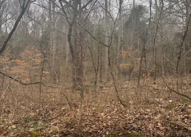 Property at 0 W O Lick Creek Rd, Lyles, TN 37098