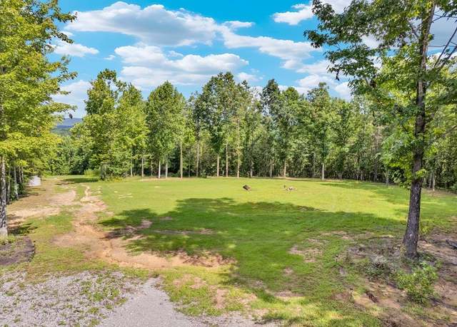 Property at 1280 Soak Creek Ln, Grandview, TN 37337