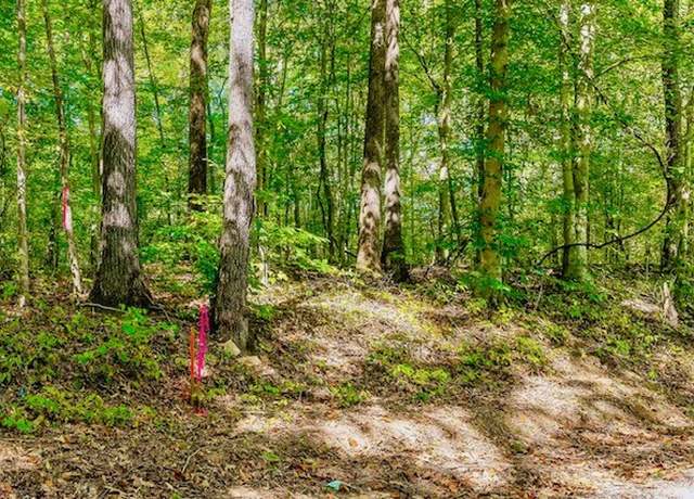 Property at 0 Bolestown Loop Lot 3, Alpine, TN 38543