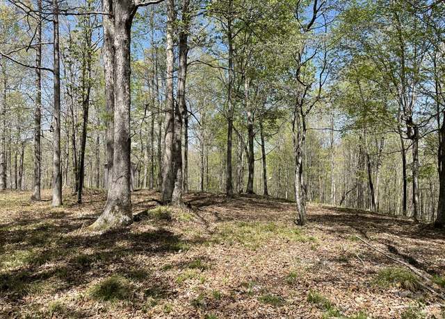 Property at 0 Waynoe Rd, Ashland City, TN 37015