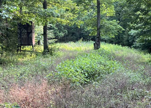 Property at 1 Cane Creek Rd, Hohenwald, TN 38462