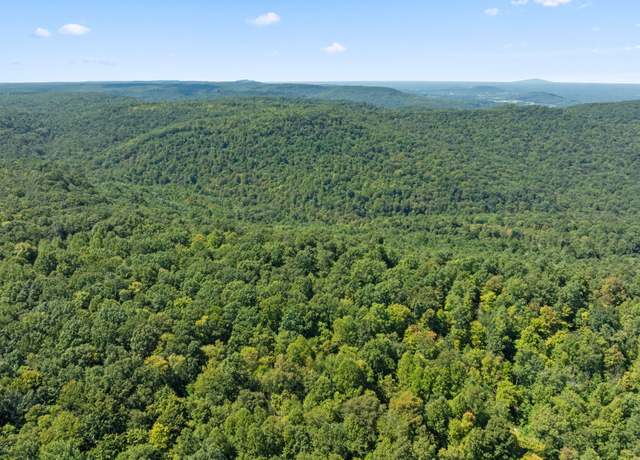 Property at 0 Lick Hollow Br, Spencer, TN 38585