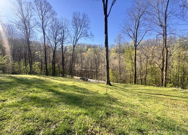 Property at 0 Lakeview Dr, Smithville, TN 37166