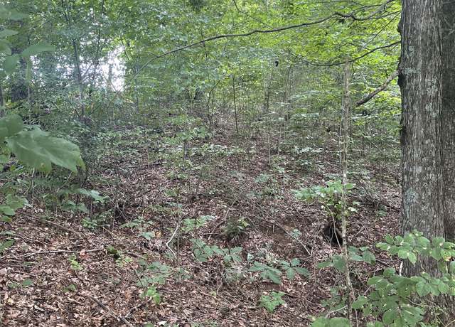 Property at 0 Hwy 52 Bypass West W, Lafayette, TN 37083