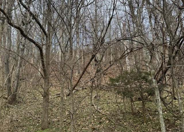 Property at 0 Blackberry Ridge Way, Smithville, TN 37166
