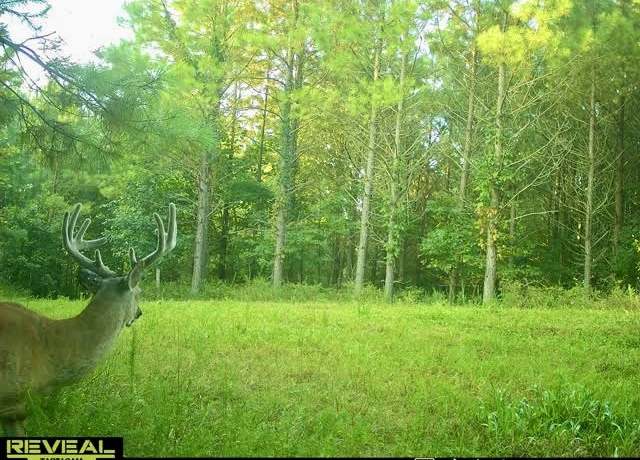 Property at 0 Duck Riv, Hurricane Mills, TN 37078