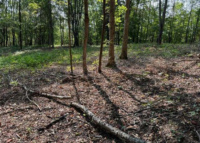 Property at 0 Primm Springs Rd, Williamsport, TN 38487
