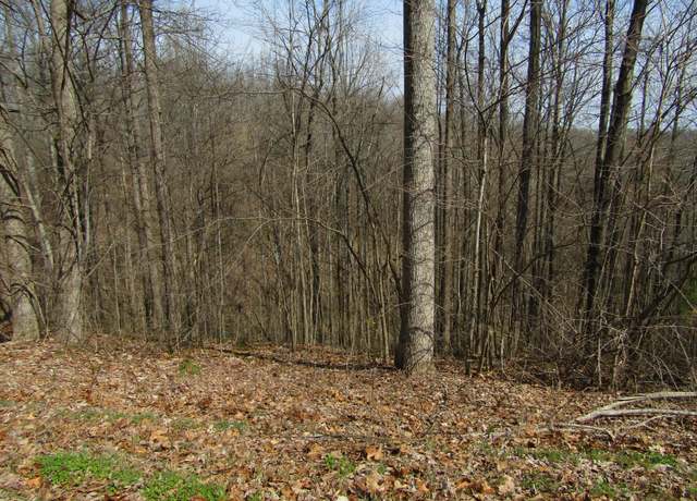 Property at 0 Hunter S Landing Ln, Smithville, TN 37166