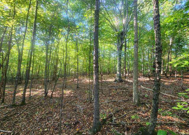 Property at 0 Blowing Spgs, Waynesboro, TN 38485