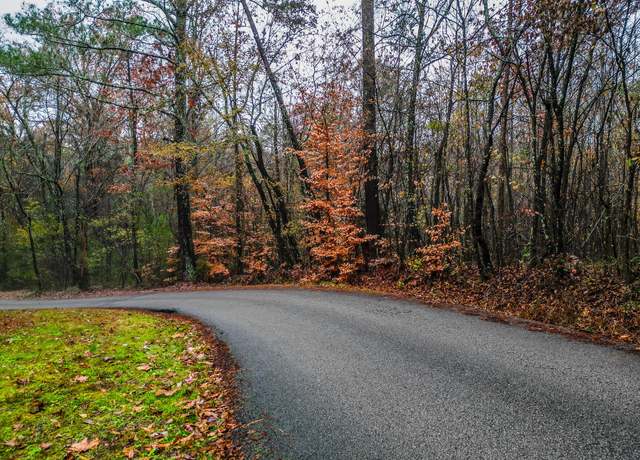 Property at 0 Long Hollow Rd, South Pittsburg, TN 37380