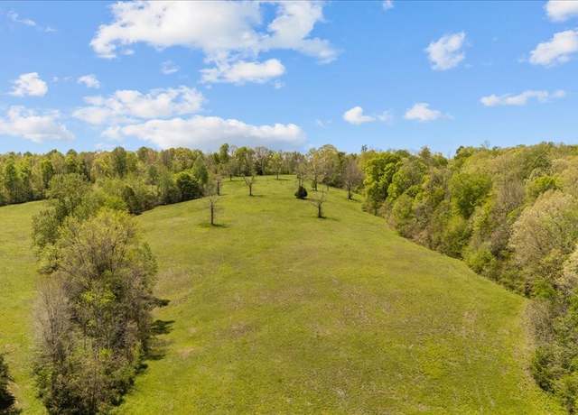 Property at 0 Matthews Hollow Rd, Waverly, TN 37185