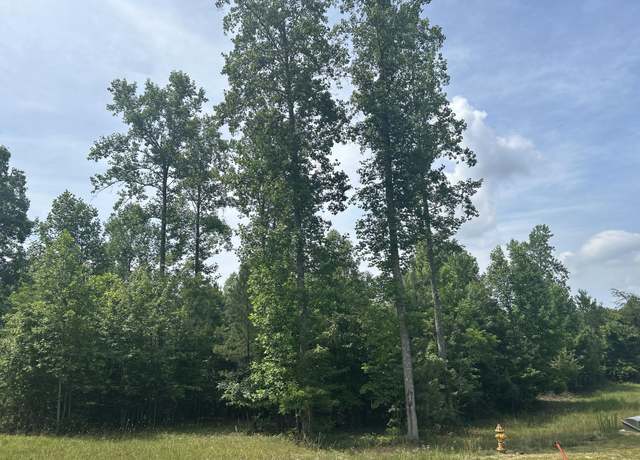 Property at 1255 Cherokee Path, Jasper, TN 37347
