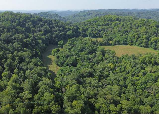 Property at 0 Hackett Hollow Ln, Pleasant Shade, TN 37145
