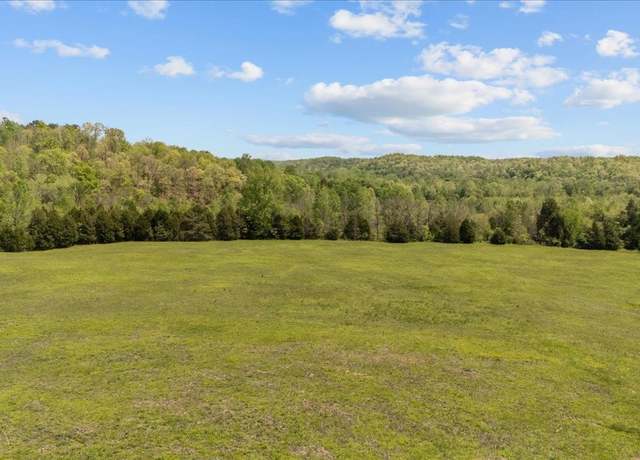 Property at 0 W Blue Creek Rd, Waverly, TN 37185