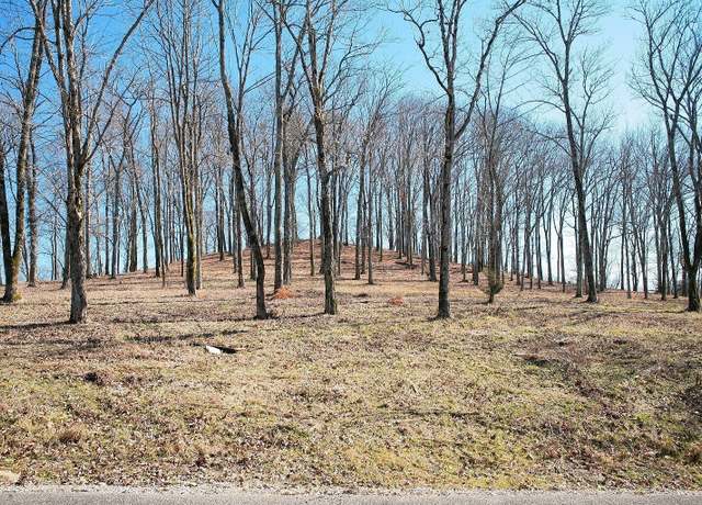 Property at 240 Wilson Cir, Smithville, TN 37166