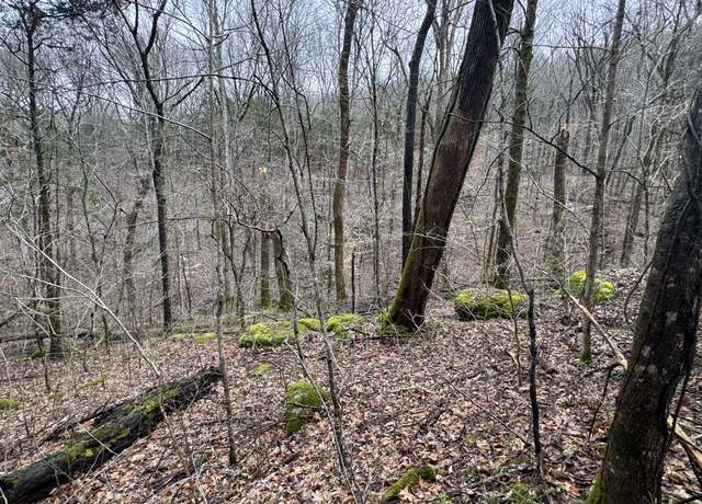 Property at 0 Patton Hollow Rd, Watertown, TN 37184
