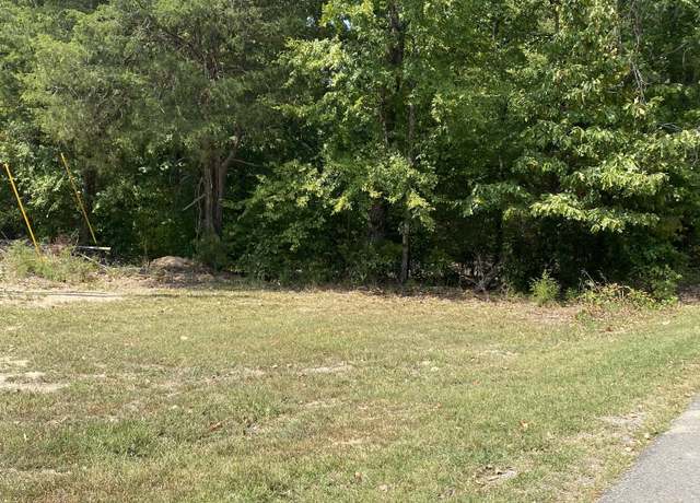 Property at 0 Hwy 47, White Bluff, TN 37187
