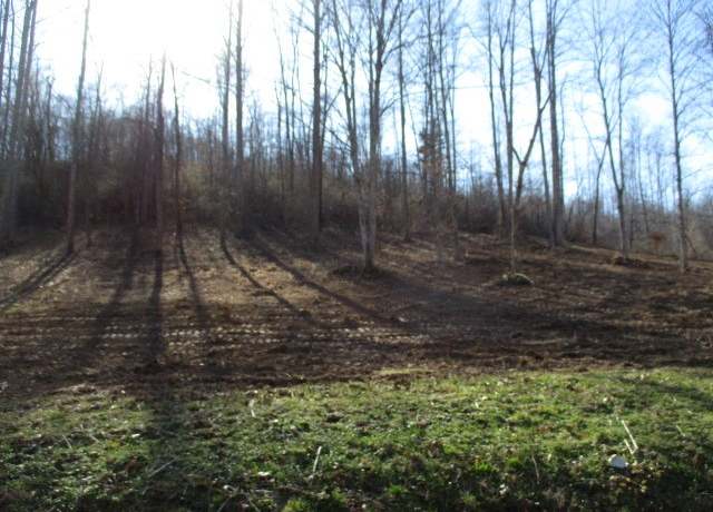 Property at 0 Rock House Hollow Rd, Bethpage, TN 37022