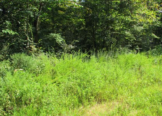 Property at 0 Sycamore Landing Rd, Waverly, TN 37185