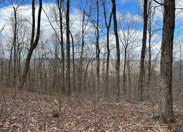 Property at 126 Northcutts Cove Rd, Beersheba Springs, TN 37305