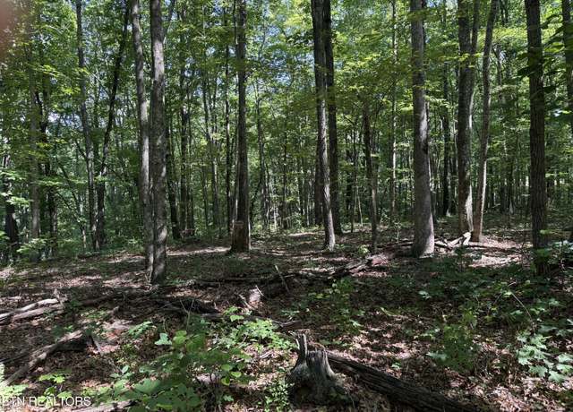 Property at 0 Little Pl, Monterey, TN 38574