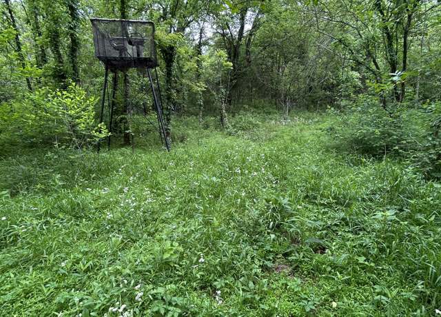 Property at 1387 Riley Hill Rd, Pulaski, TN 38478