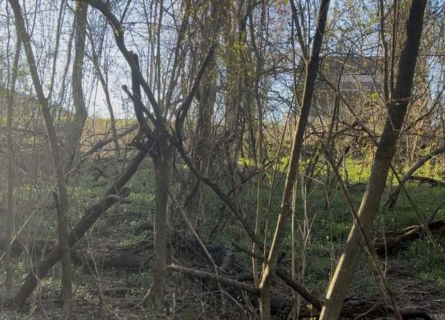 Property at 0 N Patton Ave, Rockwood, TN 37854