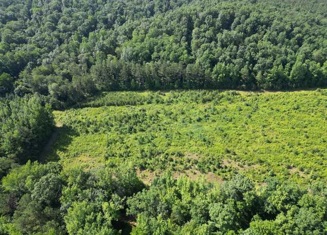 Property at 0 Brushy Rd, Centerville, TN 37033