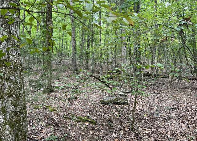 Property at 0 Sewanee Summit Rd, Decherd, TN 37324