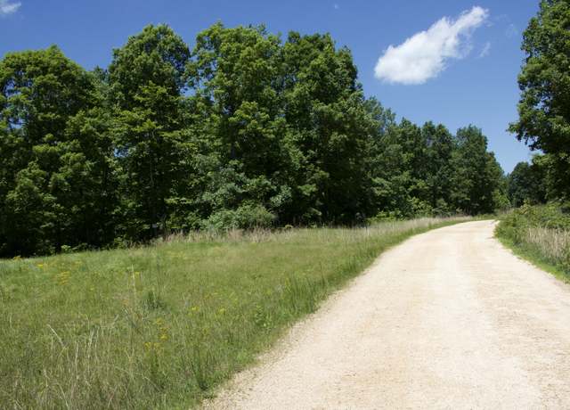 Property at 156 Ellies Run, Mount Pleasant, TN 38474