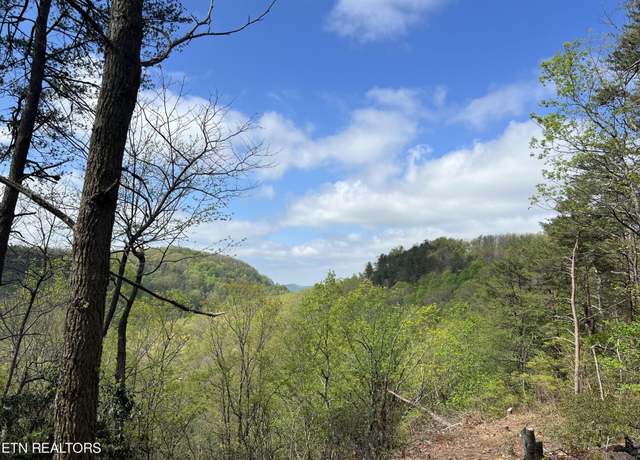 Property at 1247 Wind Rush Way, Monterey, TN 38574