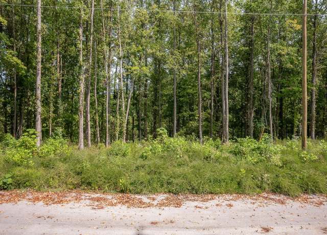 Property at 0 Lookout Ln, Silver Point, TN 38582