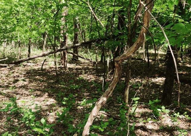 Property at 0 Coburntown (lot 11) Rd, South Pittsburg, TN 37380