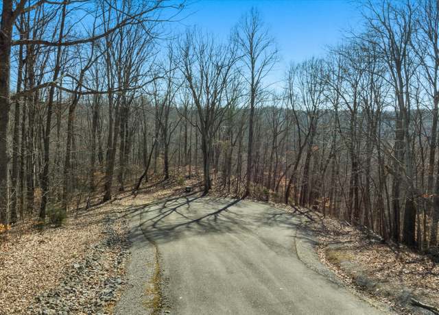 Property at 259 Randy Ct, Smithville, TN 37166