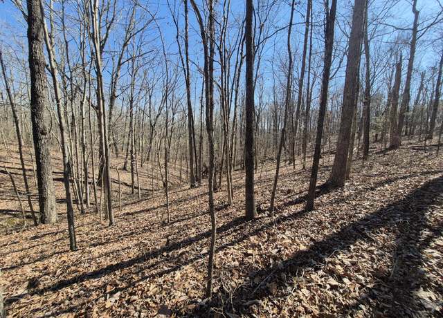 Property at 61 Teludachee Trl, South Pittsburg, TN 37380