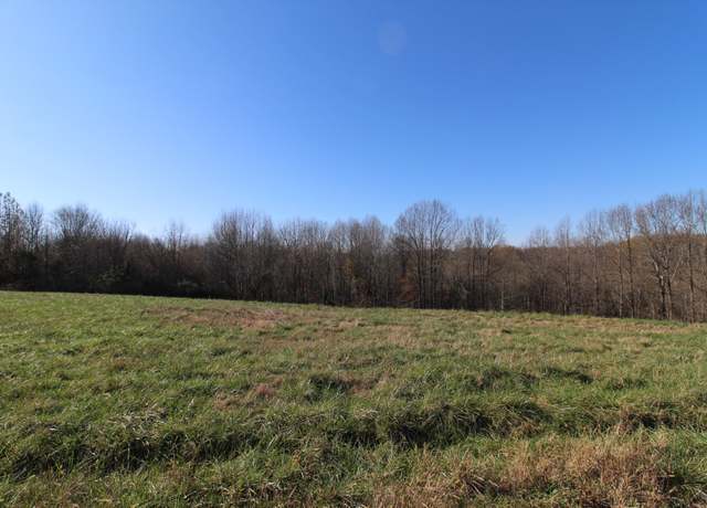 Property at 149 Coley Ct, Lafayette, TN 37083