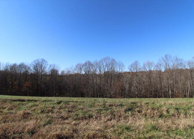 Property at 171 Coley Ct, Lafayette, TN 37083