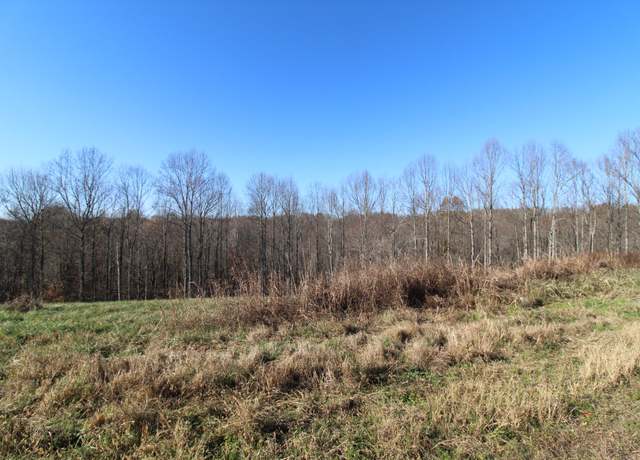 Property at 207 Coley Ct, Lafayette, TN 37083