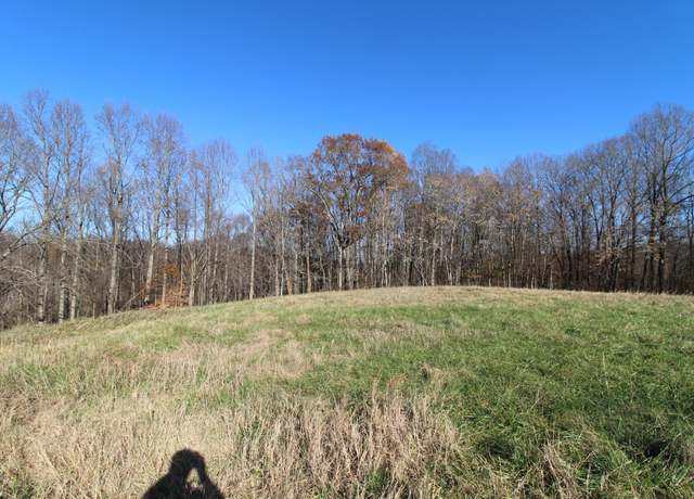 Property at 218 Coley Ct, Lafayette, TN 37083