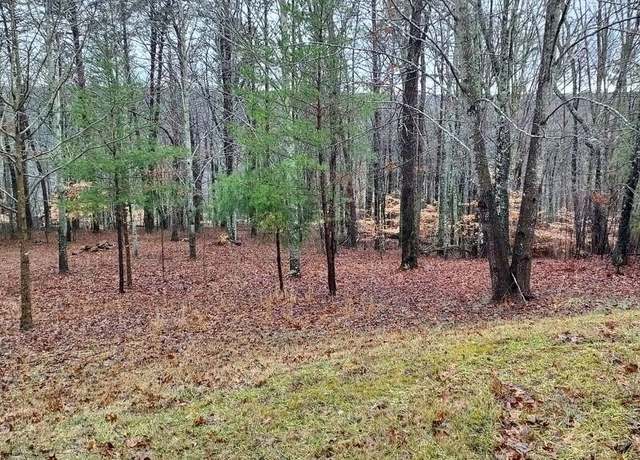 Property at 0 Wilderness Ln, Spencer, TN 38585