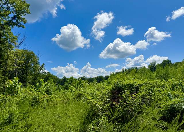 Property at 0 Ruble Dr, Clifton, TN 38425
