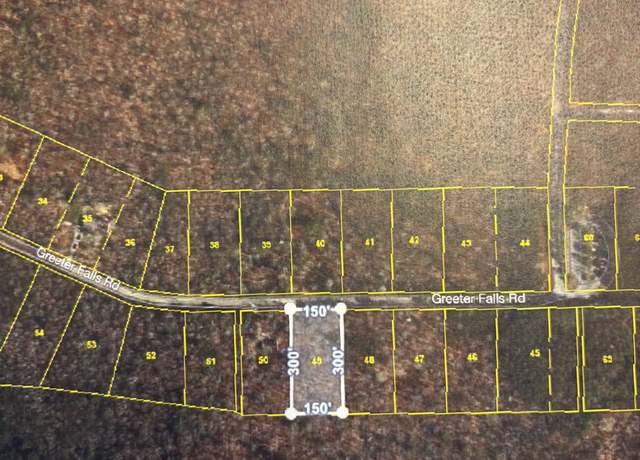 Property at 0 Greeter Falls Rd, Altamont, TN 37301