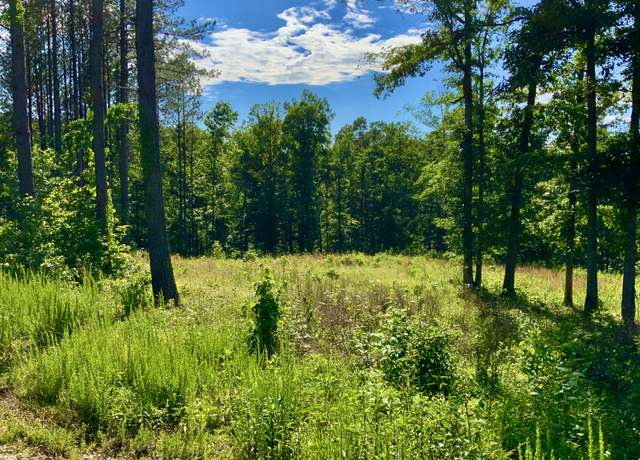 Property at 2340 Bear Hollow Dr, Waverly, TN 37185