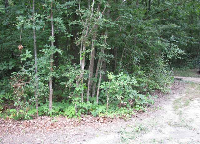 Property at 128 Washington Cir, Waverly, TN 37185