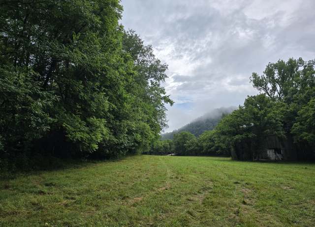 Property at 296 Little Creek Rd, Pleasant Shade, TN 37145