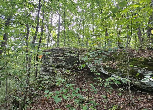 Property at 0 60th Ave S, Gruetli Laager, TN 37339