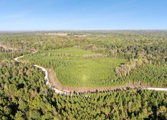 Property at 0 Cox Hollow Rd Lot 36, Dover, TN 37058